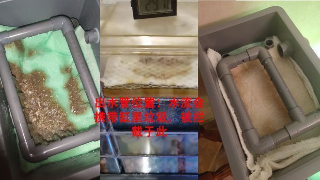 閩江魚缸過濾材料擺放順序圖片：閩江魚缸的過濾材料擺放順序是影響水質(zhì)的關(guān)鍵因素 魚缸百科 第1張