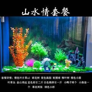 魚缸買哪一種好：新手養(yǎng)魚入門指南 魚缸百科 第3張