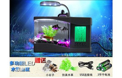 魚缸買哪一種好：新手養(yǎng)魚入門指南 魚缸百科 第5張