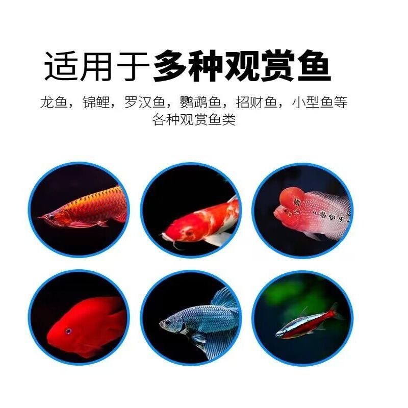 甲基藍(lán)龍魚可以用嗎有毒嗎：甲基藍(lán)可以治療龍魚嗎 龍魚百科 第3張