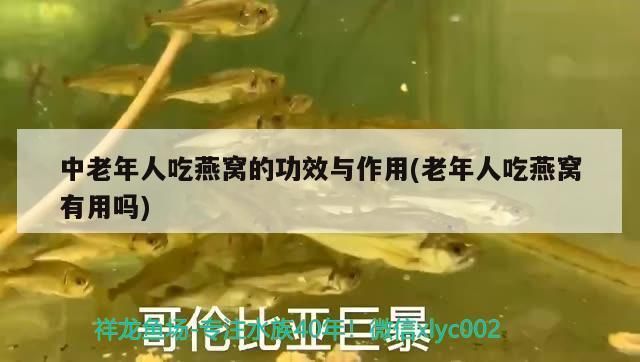 松寶魚(yú)缸圖片大全：松寶魚(yú)缸圖片大全詳情 魚(yú)缸百科 第3張