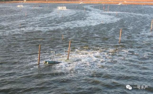 金龍魚趴缸底的最佳治療：金龍魚為什么會(huì)趴在缸底？ 水族問答 第2張