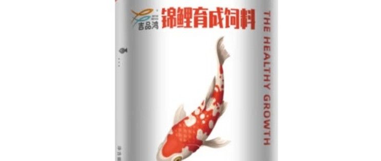 金龍魚趴缸什么原因：金龍魚為什么會趴在魚缸底部？ 水族問答 第2張