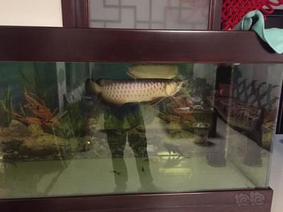 魚缸拆箱視頻全過(guò)程：魚缸開箱視頻全過(guò)程 魚缸百科 第1張