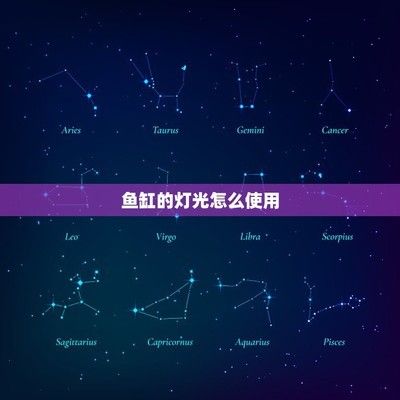 魚缸燈光設(shè)置 魚缸百科 第1張