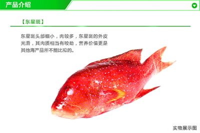 紅龍魚品牌推薦知乎文章怎么寫的：紅龍魚品牌市場評價對比紅龍魚品牌歷史與發(fā)展 紅龍魚百科 第2張