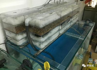 魚缸過濾哪種好：魚池過濾器十大品牌