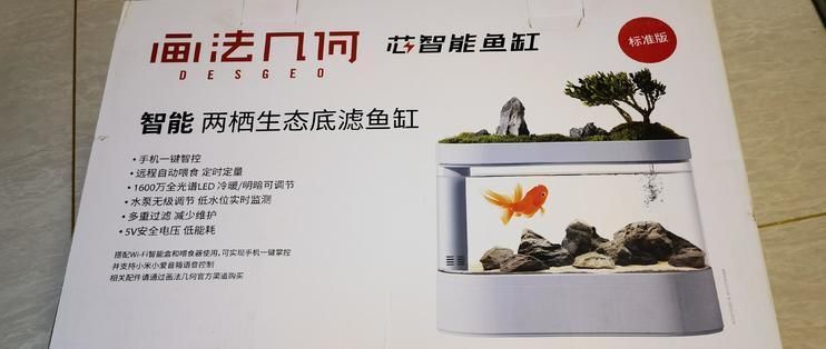 畫法幾何魚缸過濾器改造：自制魚缸過濾器改造注意事項魚缸過濾器改造注意事項 魚缸百科 第4張