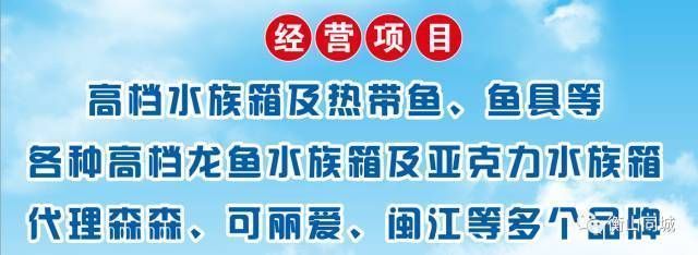 森森魚缸好還是閩江魚缸好：森森魚缸,閩江魚缸, 魚缸百科 第5張