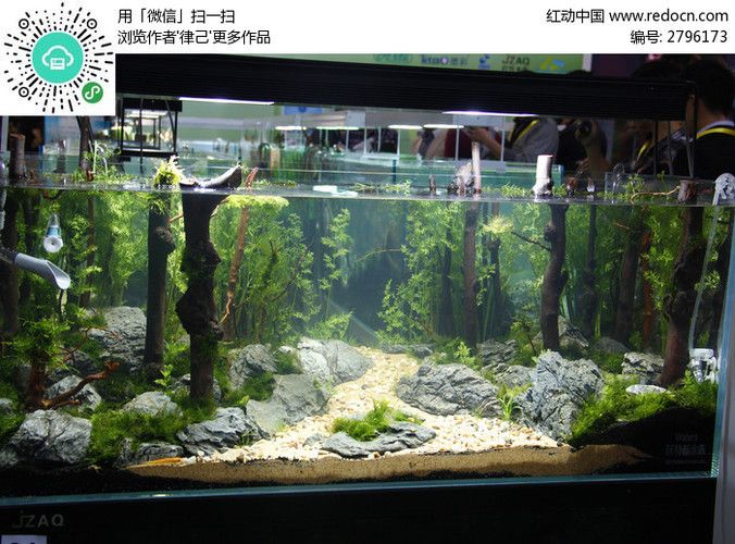 高端魚(yú)缸造景效果圖片：高端魚(yú)缸造景效果圖片詳情 魚(yú)缸百科 第1張