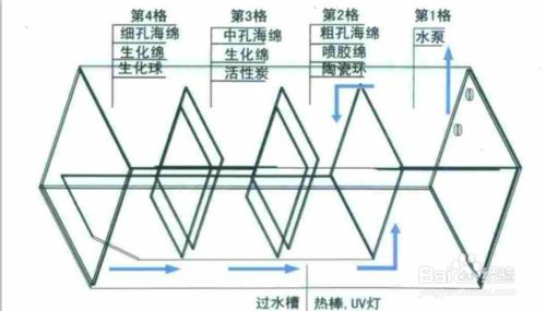 魚缸過濾材料怎么放視頻：如何正確放置魚缸過濾器的過濾器的過濾材料在視頻中 魚缸百科 第5張