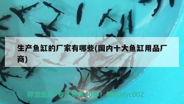 國(guó)內(nèi)最好的魚缸：國(guó)內(nèi)最好的魚缸品牌有哪些？ 魚缸百科 第2張