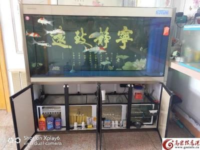 魚缸觸摸屏：魚缸觸摸屏價格區(qū)間查詢魚缸觸摸屏價格區(qū)間查詢 魚缸百科 第4張