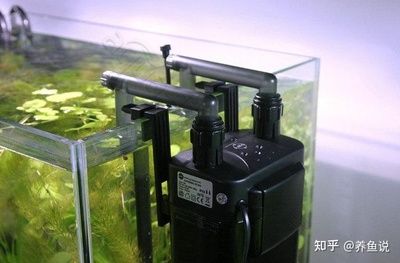 魚缸拆解視頻教程圖解：魚缸拆解的詳細步驟和注意事項和注意事項和注意事項 魚缸百科 第5張