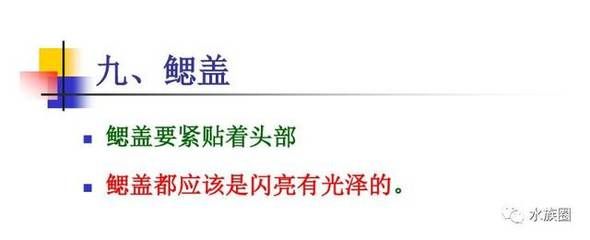 龍魚檢疫是怎么回事：龍魚檢疫不合格會怎樣處理龍魚檢疫的常見誤區(qū)有哪些