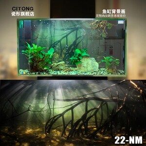 小魚缸品牌：2024年小型魚缸十大品牌排行榜小魚缸品牌性價比排行 魚缸百科 第5張