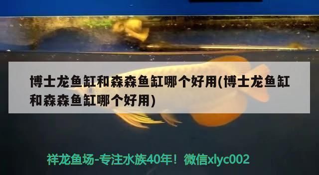 祥龍魚缸怎么樣好用嗎：祥龍魚缸用戶評價如何 魚缸百科 第3張