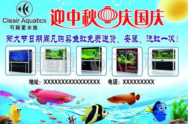 可麗愛魚缸安裝視頻教程詳細說明：可麗愛魚缸安裝視頻教程詳細說明了如何正確設(shè)置和維護魚缸 魚缸百科 第5張