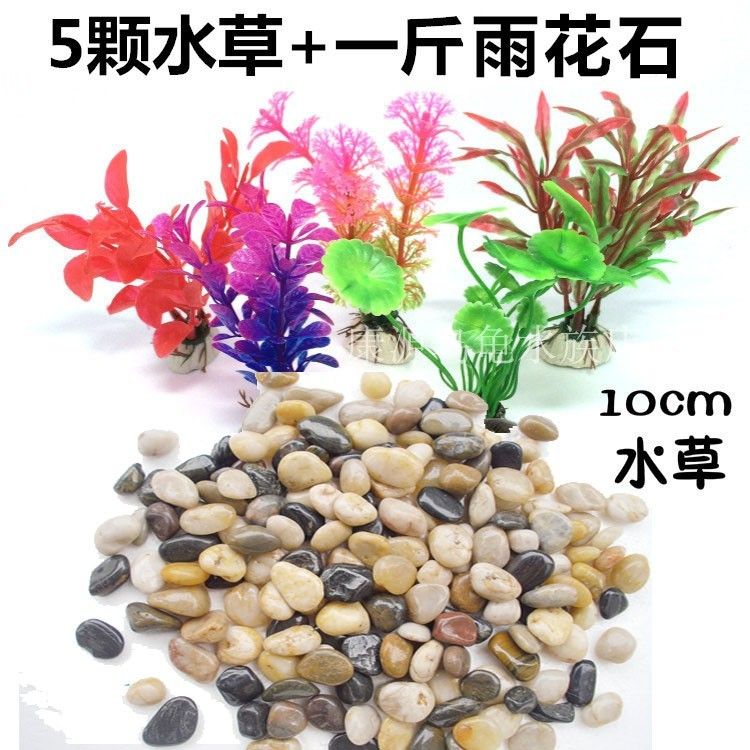 魚缸彩石圖片欣賞：魚缸彩石圖片欣賞及魚缸彩石圖片欣賞及價格對比