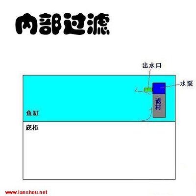 魚缸出水方式哪種好：選擇魚缸出水方式時(shí)需根據(jù)過濾類型和布置情況綜合考慮 魚缸百科 第4張