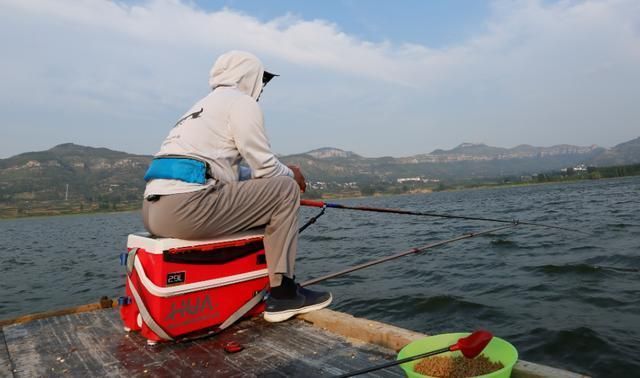 金龍魚(yú)深度分析圖：金龍魚(yú)深度分析圖是如何反映市場(chǎng)趨勢(shì)的 水族問(wèn)答 第1張