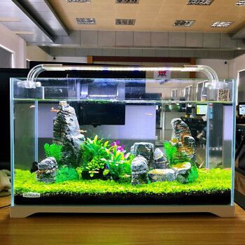 佳璐魚缸所有型號及價格大全圖片：佳璐魚缸所有型號及價格 魚缸百科 第2張