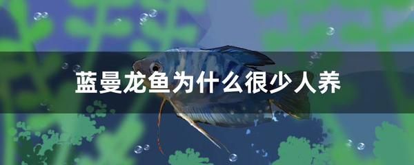 龍魚能在低溫下活嗎：龍魚低溫下的存活時間非常短暫，如何預防龍魚低溫下的應急處理 龍魚百科 第3張