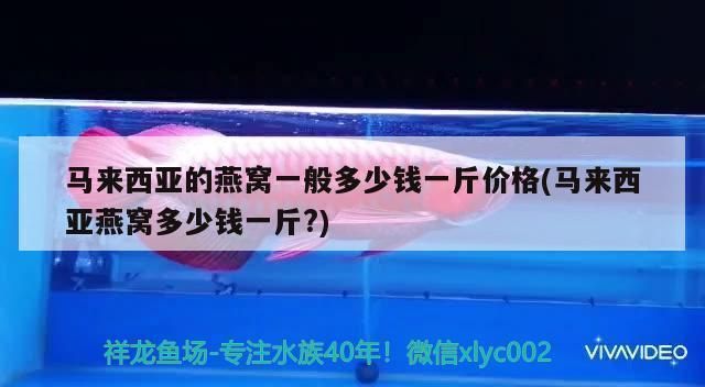 一米魚缸用多厚的玻璃合適：魚缸玻璃安全加固方法介紹魚缸安全加固方法介紹 魚缸百科 第5張