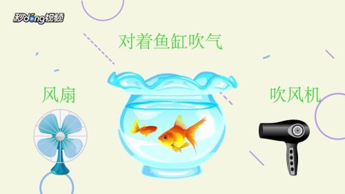 提高魚缸溶解氧的方法：如何在魚缸中提高溶解氧 魚缸百科 第4張