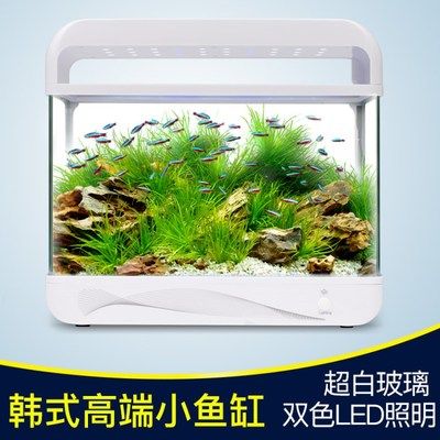 意牌魚缸廠家聯(lián)系方式：意牌魚缸廠家哪家好 魚缸百科 第4張