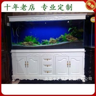 大型魚(yú)缸定制哪家好：大型魚(yú)缸定制價(jià)格對(duì)比 魚(yú)缸百科 第3張