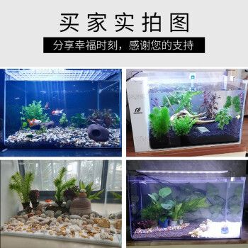 爬將軍魚缸怎么樣：爬將軍魚缸與其他品牌對比，爬將軍魚缸用戶反饋匯總 魚缸百科 第4張