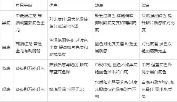 龍魚底色：如何通過觀察龍魚底色來初步判斷其健康狀況 龍魚百科 第3張