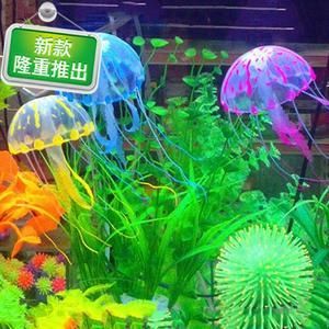 水母魚缸：關于水母魚缸的詳細信息 魚缸百科 第4張