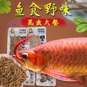 紅龍魚增色藥有哪些：紅龍魚增色藥的使用誤區(qū)紅龍魚增色藥的使用誤區(qū) 紅龍魚百科 第3張