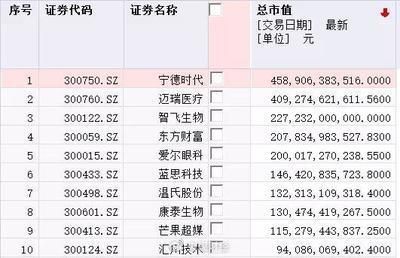 異形魚缸布景設(shè)計：異形魚缸裝飾品搭配原則 魚缸百科 第2張