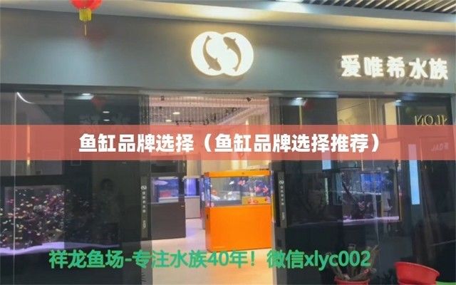 金龍魚食品飲料：選擇金龍魚食品飲料有什么特別的考慮嗎？ 水族問答 第5張