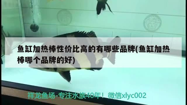 魚缸加熱棒什么牌子質(zhì)量好：森森加熱棒價格對比eheim加熱棒價格對比