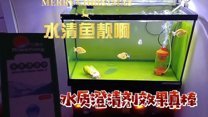 魚缸澄清劑你能管用嗎為什么：魚缸澄清劑使用注意事項 魚缸百科 第2張