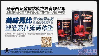 紅龍魚怎么買比較好看：如何挑選紅龍魚？ 紅龍魚百科 第4張