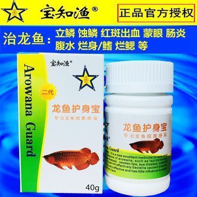 龍魚的飼養(yǎng)溫度：龍魚的飼養(yǎng)方法 龍魚百科 第4張