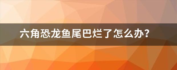 六角恐龍魚食物：六角恐龍魚尾巴爛了怎么辦 龍魚百科 第2張