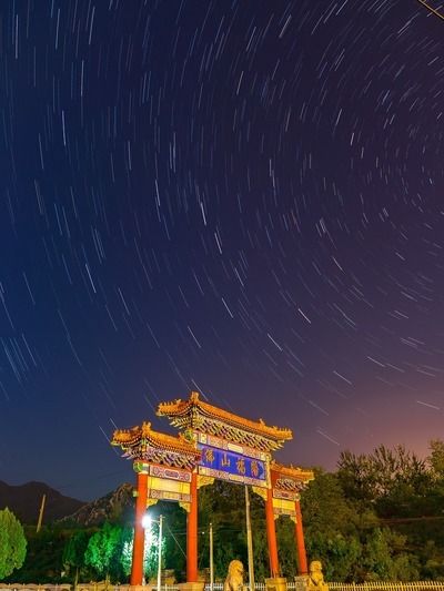 六角恐龍魚食物該怎么消毒呢：六角恐龍魚吃沉底飼養(yǎng)六角恐龍魚吃沉底飼料嗎 龍魚百科 第10張