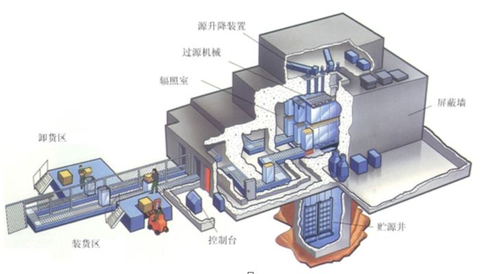 龍魚打架受傷用什么藥消毒：龍魚在打架受傷后如何進(jìn)行消毒處理 龍魚百科 第2張