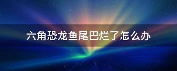 六角恐龍魚食物沉底了就不會(huì)吃了嗎：六角恐龍魚爛尾怎么辦 龍魚百科 第10張