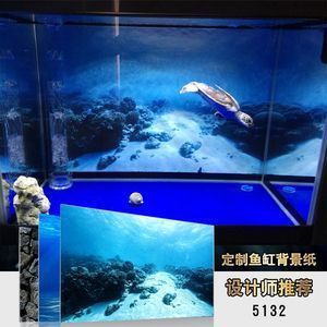 龍魚缸背景畫法：如何自制魚缸背景畫，魚缸背景風(fēng)水寓意解析，龍魚缸背景選擇技巧 龍魚百科 第3張