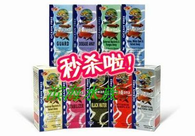 龍魚的喂食量：養(yǎng)龍魚的注意事項(xiàng) 龍魚百科 第12張