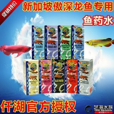 龍魚的喂食量：養(yǎng)龍魚的注意事項(xiàng) 龍魚百科 第14張