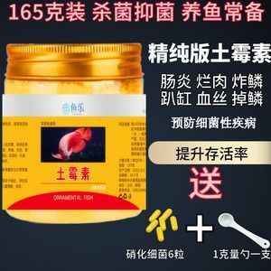 龍魚發(fā)白是什么原因造成的：龍魚土霉素放多少合適 龍魚百科 第2張