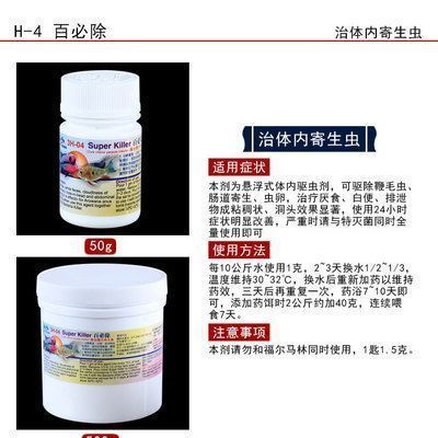 甲硝銼龍魚用量：甲硝唑治療龍魚用量 龍魚百科 第1張